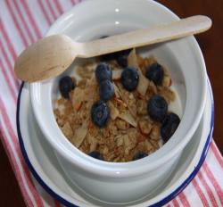 Bowl of homemade coconut and vanilla almond brown sugared granola